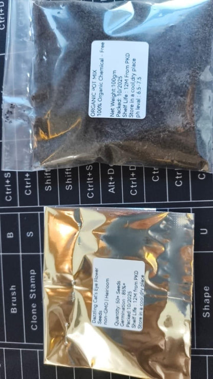 Rare Monkey Face Seeds Pack of 1